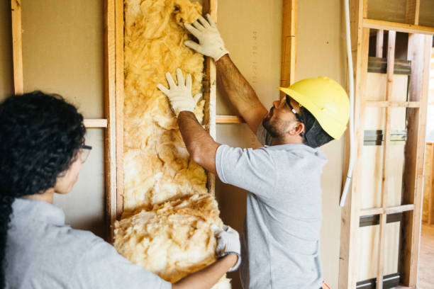 Best Radiant Barrier Insulation  in Erwin, NC